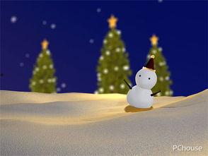 圣诞节的白雪在,圣诞节的浪漫童话世界