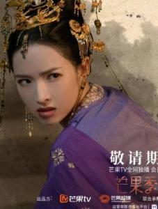 惊雀归来,探寻自然与生命的和谐交响